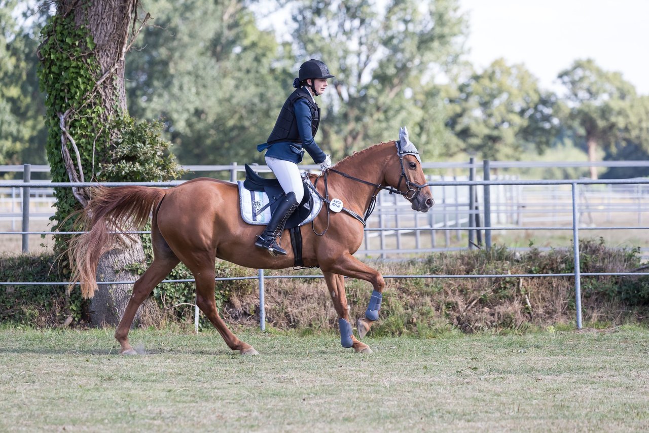 Bild 17 - Pony Akademie Turnier